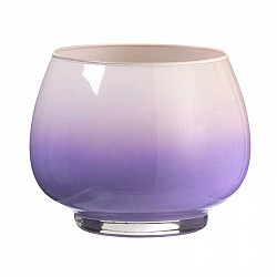 46 CICLAMINO VASO H. 12 CM D. 15,5 CM ARA