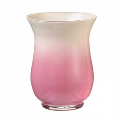 09 ROSA VASO BOB D. 14 H. 18 ARA
