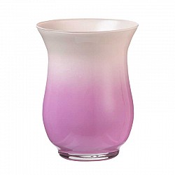32 FUCSIA VASO BOB D. 14 H. 18 ARA