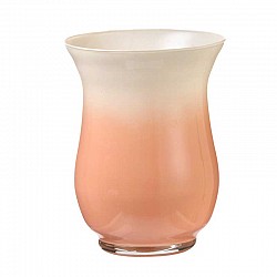 34 PESCA VASO BOB D. 14 H. 18 ARA