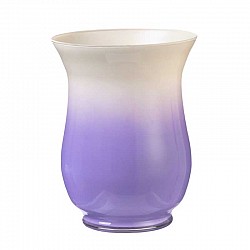 46 CICLAMINO VASO BOB D. 14 H. 18 ARA