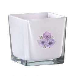 15 GLICINE QUADRATO 10X10X10 AUTOMATICO AURIGA