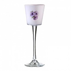 15 GLICINE CONO CON STELO D 11.5 H 31 AURIGA
