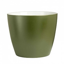 75 VERDE FOGLIA BIANCO VASO TERRACOTTA EST.D.25 H. 22 CM INT